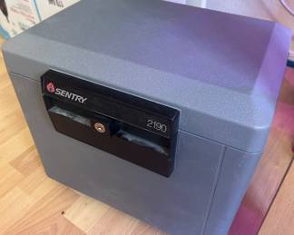 Sentry mini safe