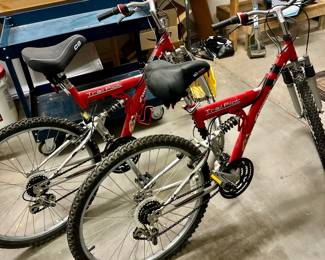 Trail pilot mountain bikes for sale
