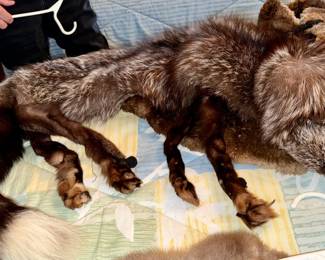 Full skin fox collar/