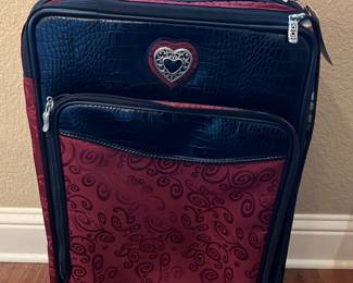 Brighton luggage