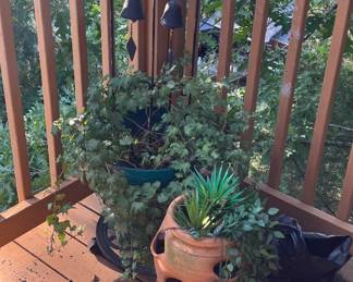 Green plants