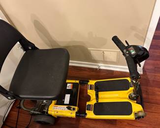 Luggie Electric Scooter 