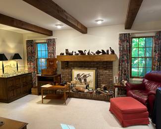 Overview/ Living room view