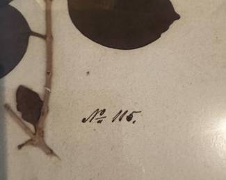 Decor art 33 x 21"   BUY IT NOW $30