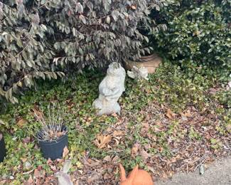 Bunnies!