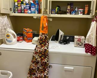 Washer and dryer with cleaning supplies