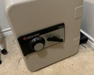 Sentry safe 1250