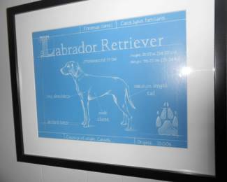 Labrador Chart Picture
