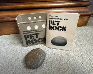 Pet Rock!
