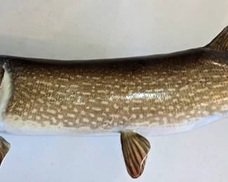 SKIN MOUNT TAXIDERMY FISH