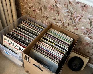 Vinyl Record (33 RPM LPs and 45 RPMs)