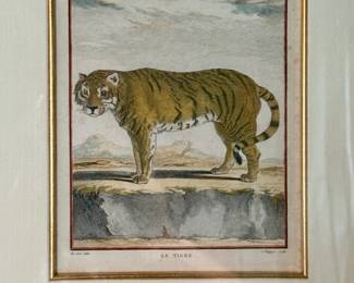 Framed Tiger Print, Jean Charles Baquoy