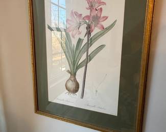 Framed Garden Art