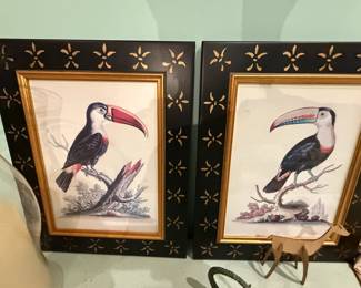 Framed Toucan Prints  