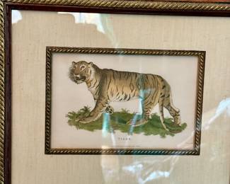 Framed Tiger Print