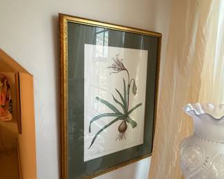 Framed Garden Art