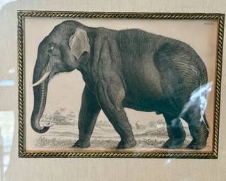Framed Elephant Print 