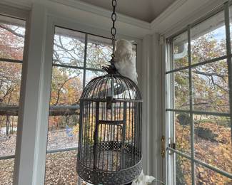 Metal Bird Cage