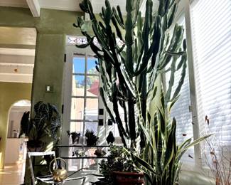 Plants and 3 tier tables, chairs and accessories