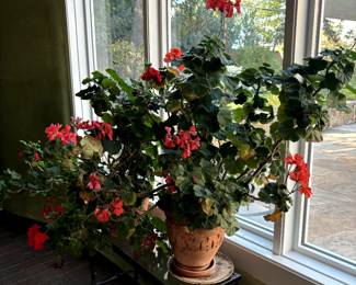 Plants and 3 tier tables