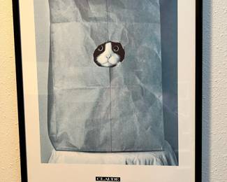 Framed Print of Cat in a Bag 