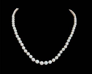 10K Gold Pearl Necklace