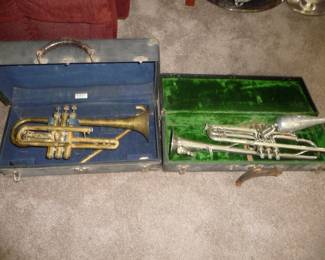 horns in cases