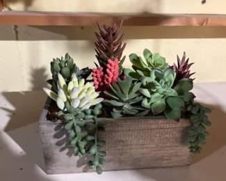 Artificial succulents
