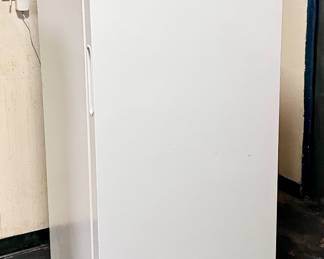 Upright Freezer