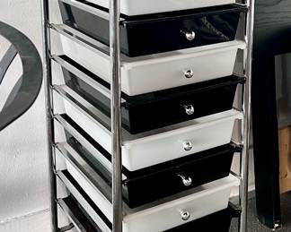 Storage Organizer