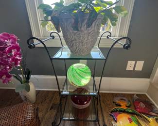 Indoor and outdoor live plants 