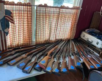 A large variety of rifles pulled from the owner’s safe.