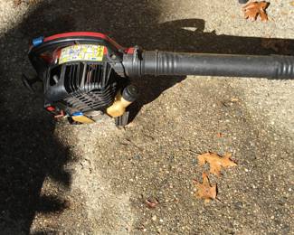 Motorized Leaf Blower