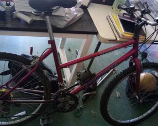 Roadmaster Bicycle. Will need TLC