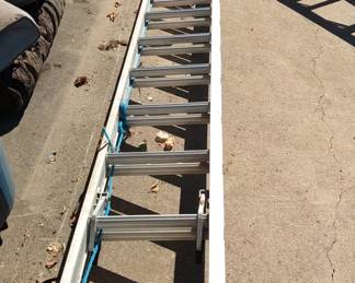 32' Wagner Extension Ladder