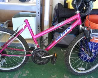 Huffy Bicycle. Will need TLC