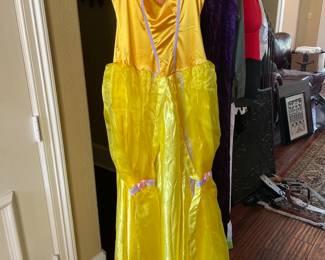 Ladies Halloween Costume