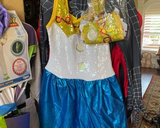 Ladies Halloween Costume