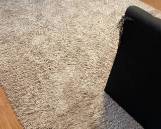 Room area rug.  Very good condition.