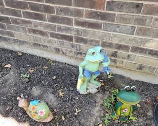 Outdoor frog collection