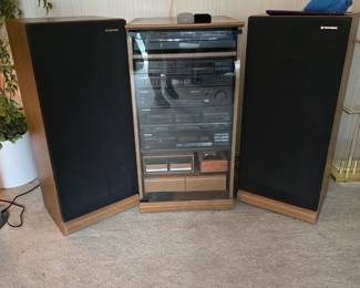 Pioneer Stereo System-lights up but could not get to work