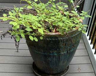 Two Large Blue Terracotta Pots 
