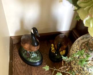 ducks