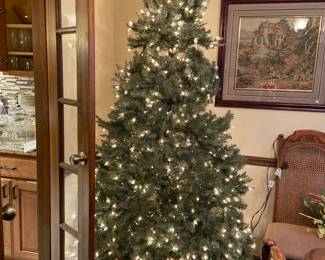 We have 4 lighted trees