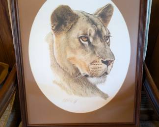 Lioness Head by Guy Coheleach