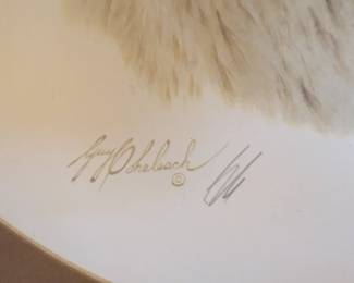 Guy Coheleach signature