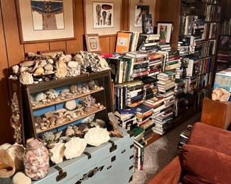 Hundreds of seashells to be sold, including this interesting collection housed in a vintage display case.