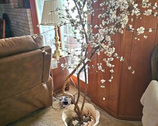 Several artificial plants