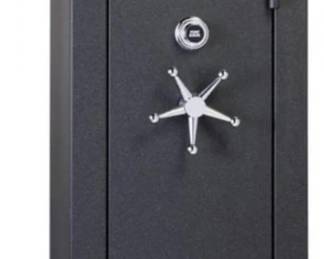 Fort Knox gun safe