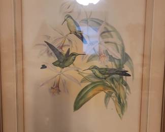 Hand colored etching